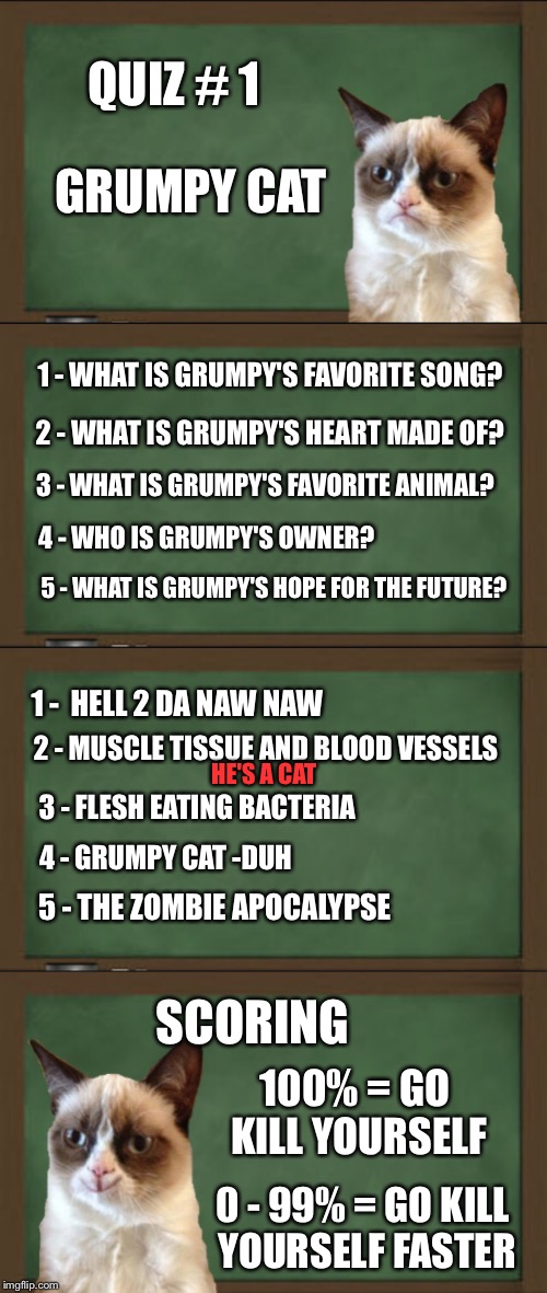 *** imgflip 101***Do you know your template? Take the quiz  |  GRUMPY CAT; QUIZ # 1; 1 - WHAT IS GRUMPY'S FAVORITE SONG? 2 - WHAT IS GRUMPY'S HEART MADE OF? 3 - WHAT IS GRUMPY'S FAVORITE ANIMAL? 4 - WHO IS GRUMPY'S OWNER? 5 - WHAT IS GRUMPY'S HOPE FOR THE FUTURE? 1 -  HELL 2 DA NAW NAW; 2 - MUSCLE TISSUE AND BLOOD VESSELS; HE'S A CAT; 3 - FLESH EATING BACTERIA; 4 - GRUMPY CAT -DUH; 5 - THE ZOMBIE APOCALYPSE; SCORING; 100% = GO KILL YOURSELF; 0 - 99% = GO KILL YOURSELF FASTER | image tagged in grumpy cat,memes,quizzes,welcome to imgflip | made w/ Imgflip meme maker
