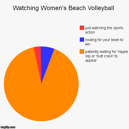 Women's Beach Volleyball Action | image tagged in funny,pie charts,sexy women,sports,nipple slip,butt crack | made w/ Imgflip chart maker