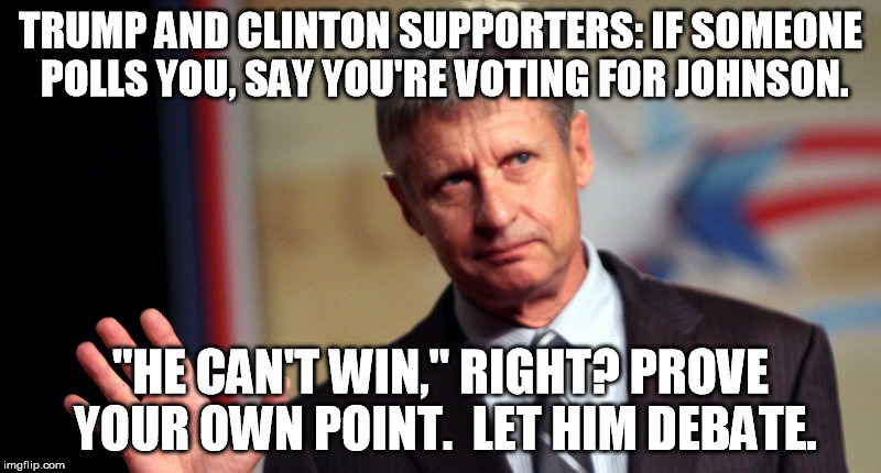 Gary Johnson Hello Over Here | TRUMP AND CLINTON SUPPORTERS: IF SOMEONE POLLS YOU, SAY YOU'RE VOTING FOR JOHNSON. "HE CAN'T WIN," RIGHT? PROVE YOUR OWN POINT.  LET HIM DEBATE. | image tagged in gary johnson hello over here | made w/ Imgflip meme maker
