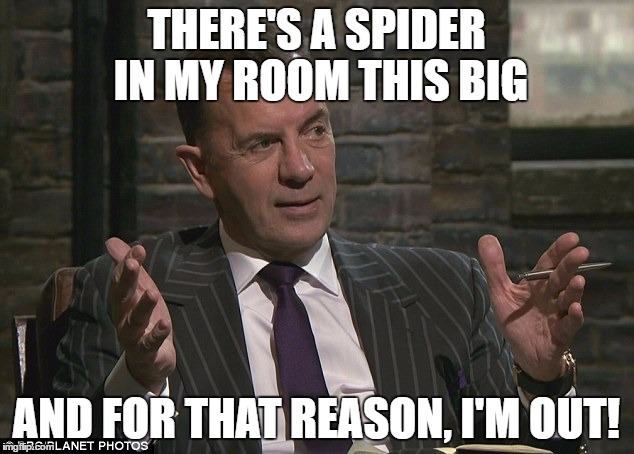 Duncan Bannatyne | THERE'S A SPIDER IN MY ROOM THIS BIG; AND FOR THAT REASON, I'M OUT! | image tagged in duncan bannatyne | made w/ Imgflip meme maker