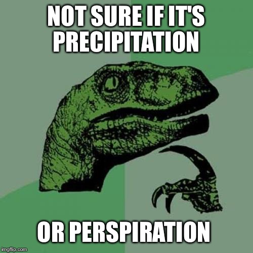 It's finally raining and it's still hot as hell.  | NOT SURE IF IT'S PRECIPITATION; OR PERSPIRATION | image tagged in memes,philosoraptor | made w/ Imgflip meme maker