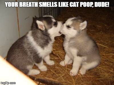 Cute Puppies Meme | YOUR BREATH SMELLS LIKE CAT POOP, DUDE! | image tagged in memes,cute puppies | made w/ Imgflip meme maker