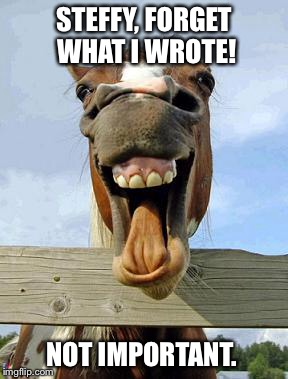 horsesmile | STEFFY, FORGET WHAT I WROTE! NOT IMPORTANT. | image tagged in horsesmile | made w/ Imgflip meme maker