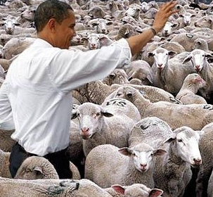 Obama sheeple Blank Meme Template