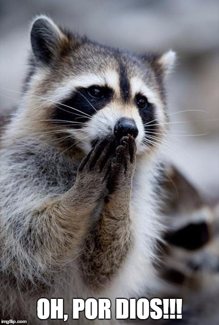 surprised raccoon | OH, POR DIOS!!! | image tagged in surprised raccoon | made w/ Imgflip meme maker