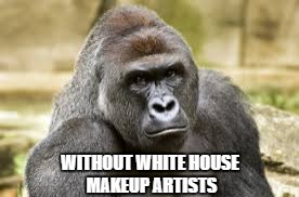 WITHOUT WHITE HOUSE MAKEUP ARTISTS | made w/ Imgflip meme maker