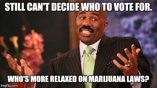 Steve Harvey | STILL CAN'T DECIDE WHO TO VOTE FOR. WHO'S MORE RELAXED ON MARIJUANA LAWS? | image tagged in memes,steve harvey | made w/ Imgflip meme maker