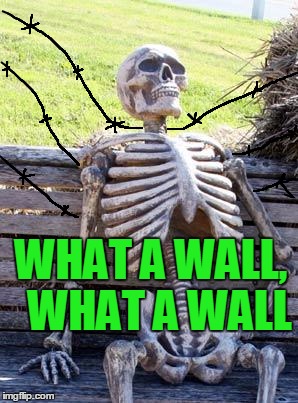 Waiting Skeleton Meme | WHAT A WALL,  WHAT A WALL | image tagged in memes,waiting skeleton | made w/ Imgflip meme maker