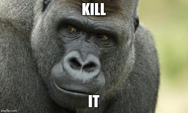 Gorilla birthday | KILL; IT | image tagged in gorilla birthday | made w/ Imgflip meme maker