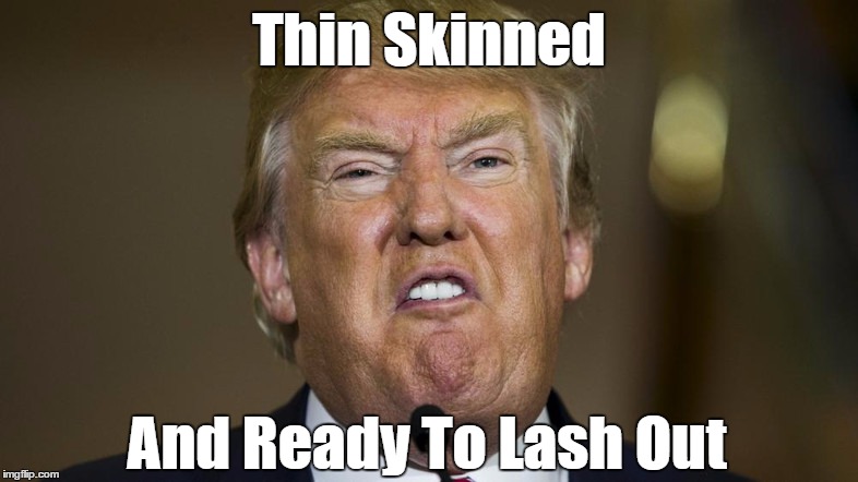 Thin Skinned And Ready To Lash Out | made w/ Imgflip meme maker