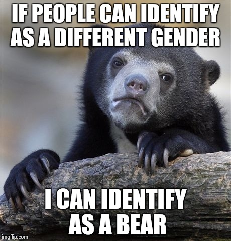 Confession Bear | IF PEOPLE CAN IDENTIFY AS A DIFFERENT GENDER; I CAN IDENTIFY AS A BEAR | image tagged in memes,confession bear | made w/ Imgflip meme maker