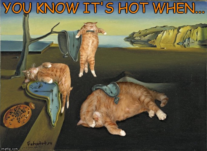 Melting cats | YOU KNOW IT'S HOT WHEN... | image tagged in funny | made w/ Imgflip meme maker