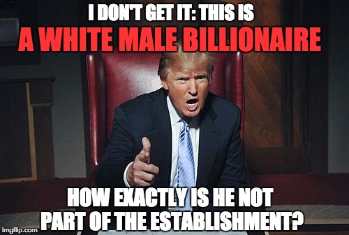 Donald Trump You're Fired | I DON'T GET IT: THIS IS; A WHITE MALE BILLIONAIRE; HOW EXACTLY IS HE NOT PART OF THE ESTABLISHMENT? | image tagged in donald trump you're fired | made w/ Imgflip meme maker