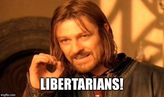 One Does Not Simply Meme | LIBERTARIANS! | image tagged in memes,one does not simply | made w/ Imgflip meme maker