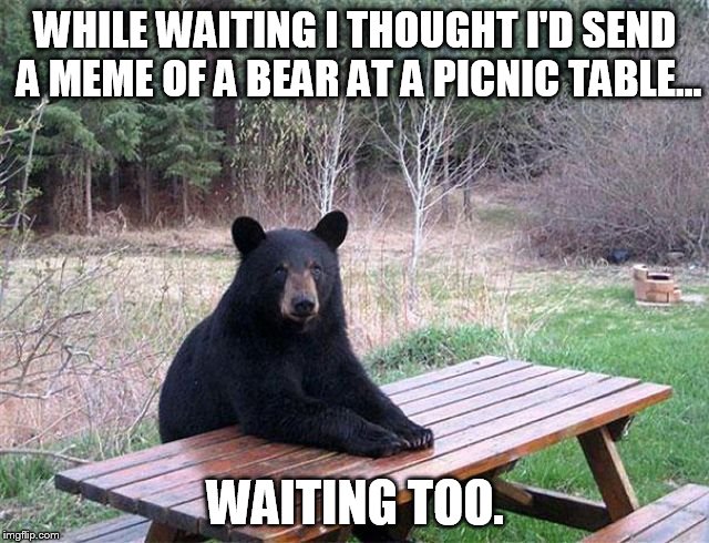 waiting bear | WHILE WAITING I THOUGHT I'D SEND A MEME OF A BEAR AT A PICNIC TABLE... WAITING TOO. | image tagged in waiting bear | made w/ Imgflip meme maker