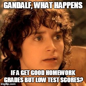 Frodo | GANDALF, WHAT HAPPENS; IF A GET GOOD HOMEWORK GRADES BUT LOW TEST SCORES? | image tagged in frodo | made w/ Imgflip meme maker