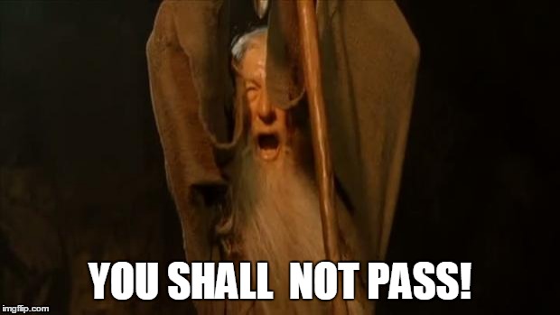Gandalf | YOU SHALL  NOT PASS! | image tagged in gandalf | made w/ Imgflip meme maker