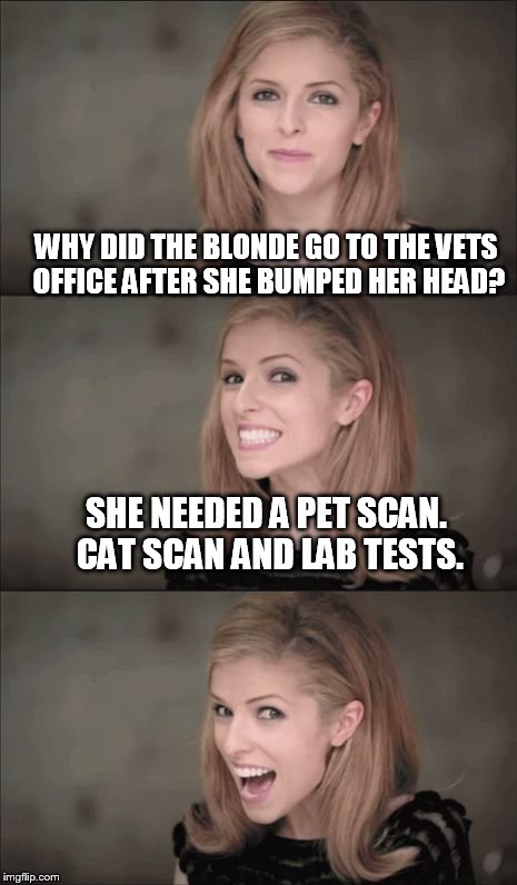 Bad Pun Anna Kendrick Meme | WHY DID THE BLONDE GO TO THE VETS OFFICE AFTER SHE BUMPED HER HEAD? SHE NEEDED A PET SCAN. CAT SCAN AND LAB TESTS. | image tagged in memes,bad pun anna kendrick | made w/ Imgflip meme maker
