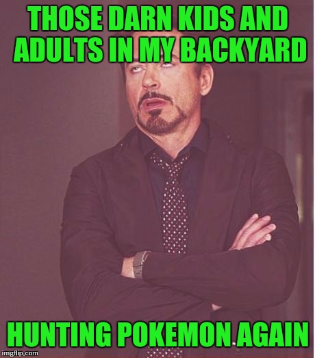 Face You Make Robert Downey Jr | THOSE DARN KIDS AND ADULTS IN MY BACKYARD; HUNTING POKEMON AGAIN | image tagged in memes,face you make robert downey jr | made w/ Imgflip meme maker