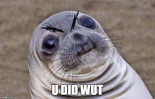 Awkward Moment Sealion | U DID WUT | image tagged in memes,awkward moment sealion | made w/ Imgflip meme maker