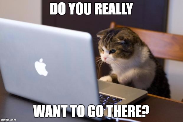 Cat using computer | DO YOU REALLY; WANT TO GO THERE? | image tagged in cat using computer | made w/ Imgflip meme maker