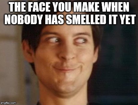 Fart | THE FACE YOU MAKE WHEN NOBODY HAS SMELLED IT YET | image tagged in spiderman peter parker,fart,tobey maguire,smirk | made w/ Imgflip meme maker