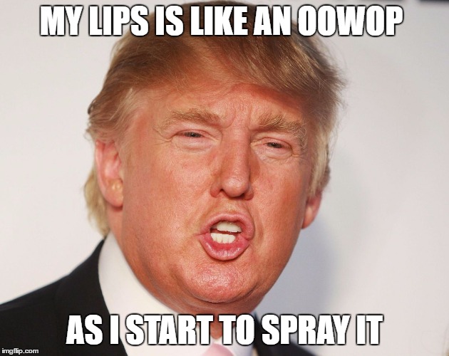 Donald Trump | MY LIPS IS LIKE AN OOWOP; AS I START TO SPRAY IT | image tagged in donald trump | made w/ Imgflip meme maker