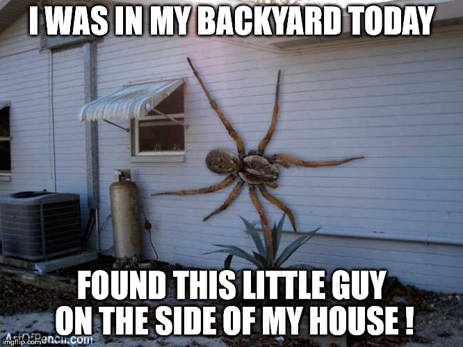 I WAS IN MY BACKYARD TODAY FOUND THIS LITTLE GUY ON THE SIDE OF MY HOUSE
! | made w/ Imgflip meme maker