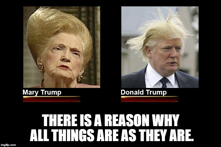 Mary Trump & Donald Trump Hair | THERE IS A REASON WHY ALL THINGS ARE AS THEY ARE. | image tagged in mary trump,donald trump,donald trumph hair,hairstyle | made w/ Imgflip meme maker