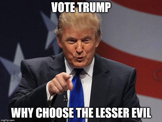 Donald trump | VOTE TRUMP; WHY CHOOSE THE LESSER EVIL | image tagged in donald trump | made w/ Imgflip meme maker