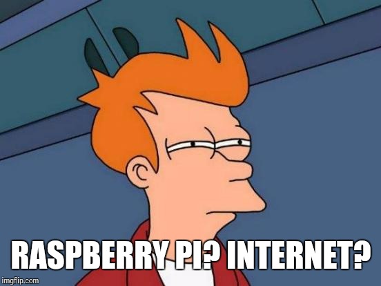 Futurama Fry Meme | RASPBERRY PI? INTERNET? | image tagged in memes,futurama fry | made w/ Imgflip meme maker