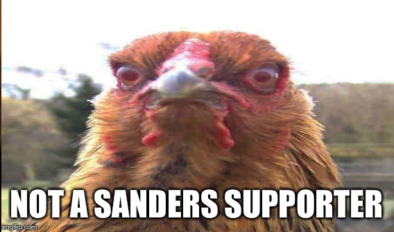 NOT A SANDERS SUPPORTER | made w/ Imgflip meme maker
