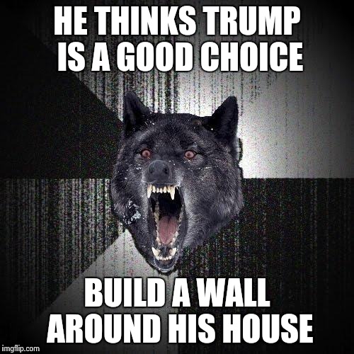 Insanity Wolf Meme | HE THINKS TRUMP IS A GOOD CHOICE; BUILD A WALL AROUND HIS HOUSE | image tagged in memes,insanity wolf | made w/ Imgflip meme maker