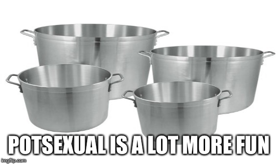 POTSEXUAL IS A LOT MORE FUN | made w/ Imgflip meme maker