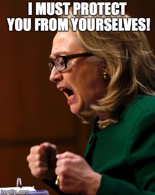 just insane  | I MUST PROTECT YOU FROM YOURSELVES! | image tagged in hillary benghazi hearing libya war crimes do it again | made w/ Imgflip meme maker
