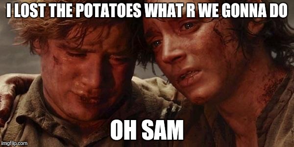 Lord of the rings  | I LOST THE POTATOES WHAT R WE GONNA DO; OH SAM | image tagged in lord of the rings | made w/ Imgflip meme maker