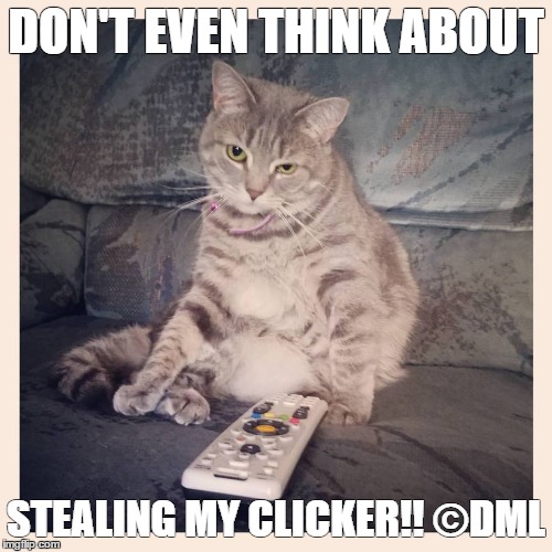 Kitty with Remote | DON'T EVEN THINK ABOUT; STEALING MY CLICKER!! ©DML | image tagged in tv,kitty,cat,remote,clicker | made w/ Imgflip meme maker