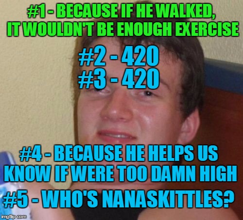 10 Guy Meme | #1 - BECAUSE IF HE WALKED, IT WOULDN'T BE ENOUGH EXERCISE #2 - 420 #3 - 420 #4 - BECAUSE HE HELPS US KNOW IF WERE TOO DAMN HIGH #5 - WHO'S N | image tagged in memes,10 guy | made w/ Imgflip meme maker