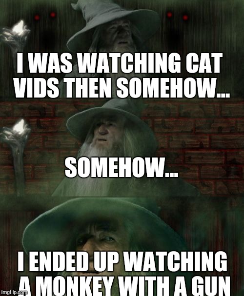 Gandalf Lost Lord of the Rings | I WAS WATCHING CAT VIDS THEN SOMEHOW... SOMEHOW... I ENDED UP WATCHING A MONKEY WITH A GUN | image tagged in gandalf lost lord of the rings | made w/ Imgflip meme maker