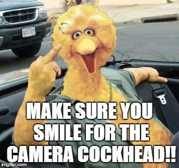 For the ass hat who keeps breaking into my shop | MAKE SURE YOU SMILE FOR THE CAMERA COCKHEAD!! | image tagged in big bird,bird,middle finger,finger,funny,funny memes | made w/ Imgflip meme maker