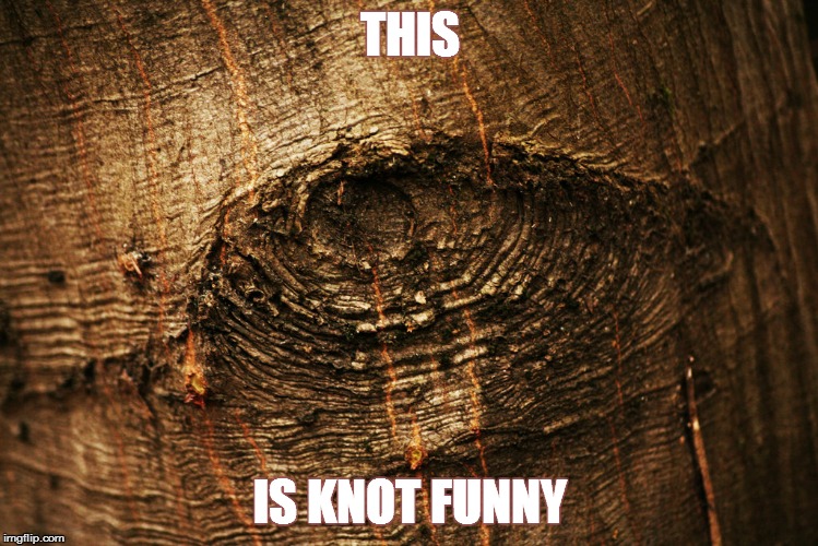 Funny you're knot. | THIS; IS KNOT FUNNY | image tagged in knot,tree knot,memes,funny memes,bad puns,not funny | made w/ Imgflip meme maker