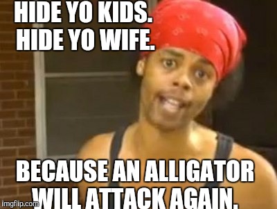 Anyone else scared that this might happen?  | HIDE YO KIDS. HIDE YO WIFE. BECAUSE AN ALLIGATOR WILL ATTACK AGAIN. | image tagged in memes,hide yo kids hide yo wife,funny,alligator | made w/ Imgflip meme maker