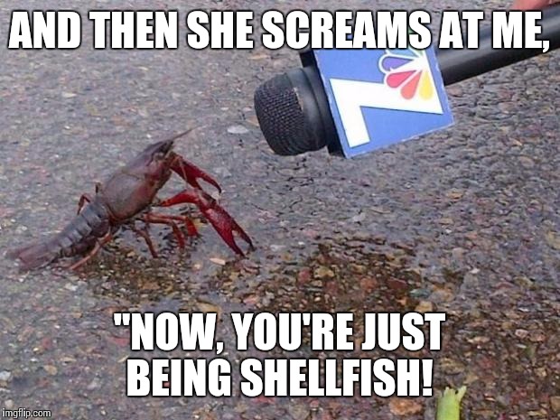 I'm like...yeah, so? | AND THEN SHE SCREAMS AT ME, "NOW, YOU'RE JUST BEING SHELLFISH! | image tagged in crawfish interview,female logic,who's yo crawdaddy,mudbug | made w/ Imgflip meme maker
