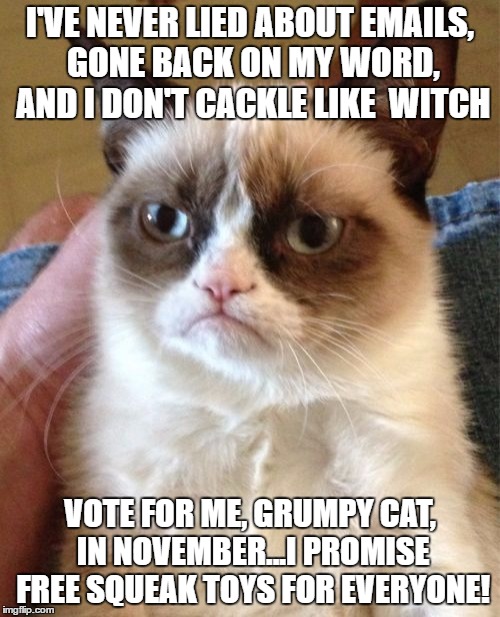 He will sniff out every rat in Washington! | I'VE NEVER LIED ABOUT EMAILS, GONE BACK ON MY WORD, AND I DON'T CACKLE LIKE  WITCH; VOTE FOR ME, GRUMPY CAT, IN NOVEMBER...I PROMISE FREE SQUEAK TOYS FOR EVERYONE! | image tagged in memes,grumpy cat | made w/ Imgflip meme maker