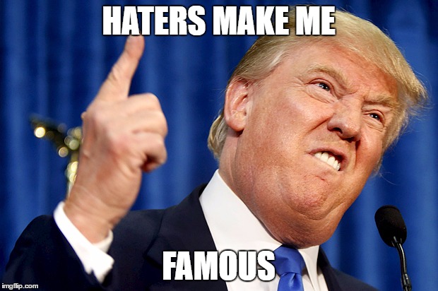 Donald Trump | HATERS MAKE ME; FAMOUS | image tagged in donald trump | made w/ Imgflip meme maker