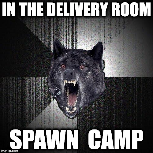Insanity Wolf | IN THE DELIVERY ROOM; SPAWN  CAMP | image tagged in memes,insanity wolf | made w/ Imgflip meme maker