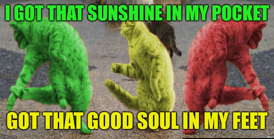 Can't Stop The Meme-ing! | I GOT THAT SUNSHINE IN MY POCKET; GOT THAT GOOD SOUL IN MY FEET | image tagged in three dancing raycats,memes | made w/ Imgflip meme maker