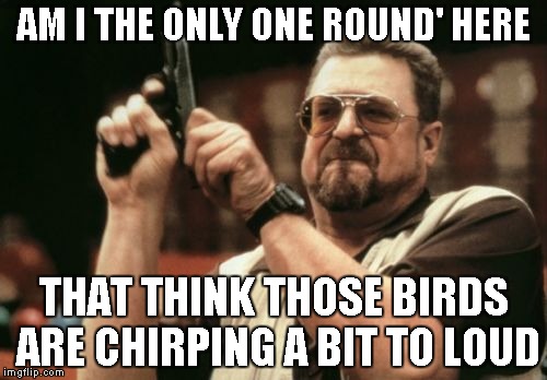 Am I The Only One Around Here | AM I THE ONLY ONE ROUND' HERE; THAT THINK THOSE BIRDS ARE CHIRPING A BIT TO LOUD | image tagged in memes,am i the only one around here | made w/ Imgflip meme maker