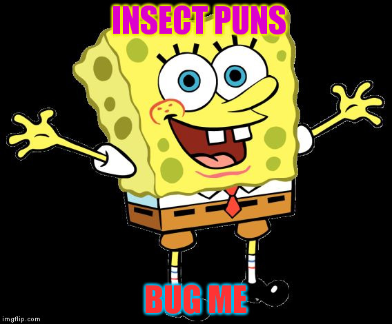 A Mini Offspring Of DashHopes Meme | INSECT PUNS; BUG ME | image tagged in spongebob,insect,bug,funny meme,kid,jokes | made w/ Imgflip meme maker