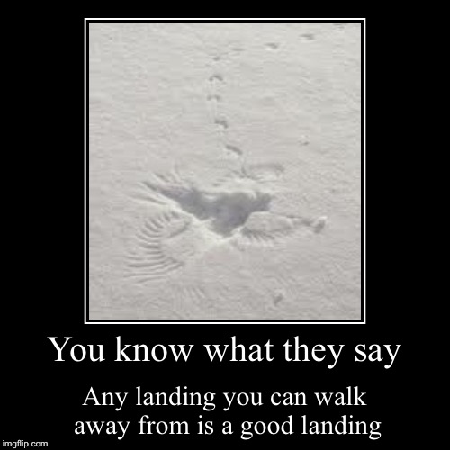 Crash landing | image tagged in funny,demotivationals | made w/ Imgflip demotivational maker